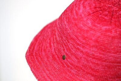 Bob Crochet