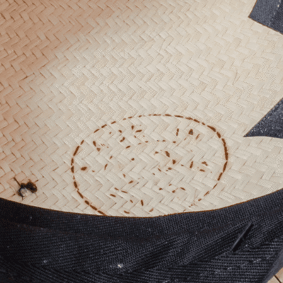 Panama Fantaisie – Image 10