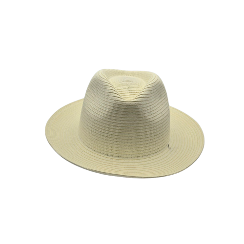 Chapeau Fédora Mixte